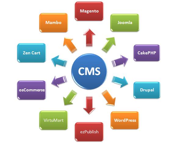 CMS programming skill
