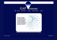 gap ventures