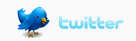 twitter-logo2